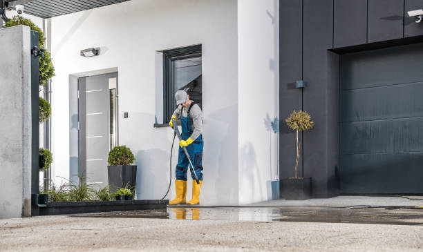 Best Gutter Cleaning  in Greensboro, AL